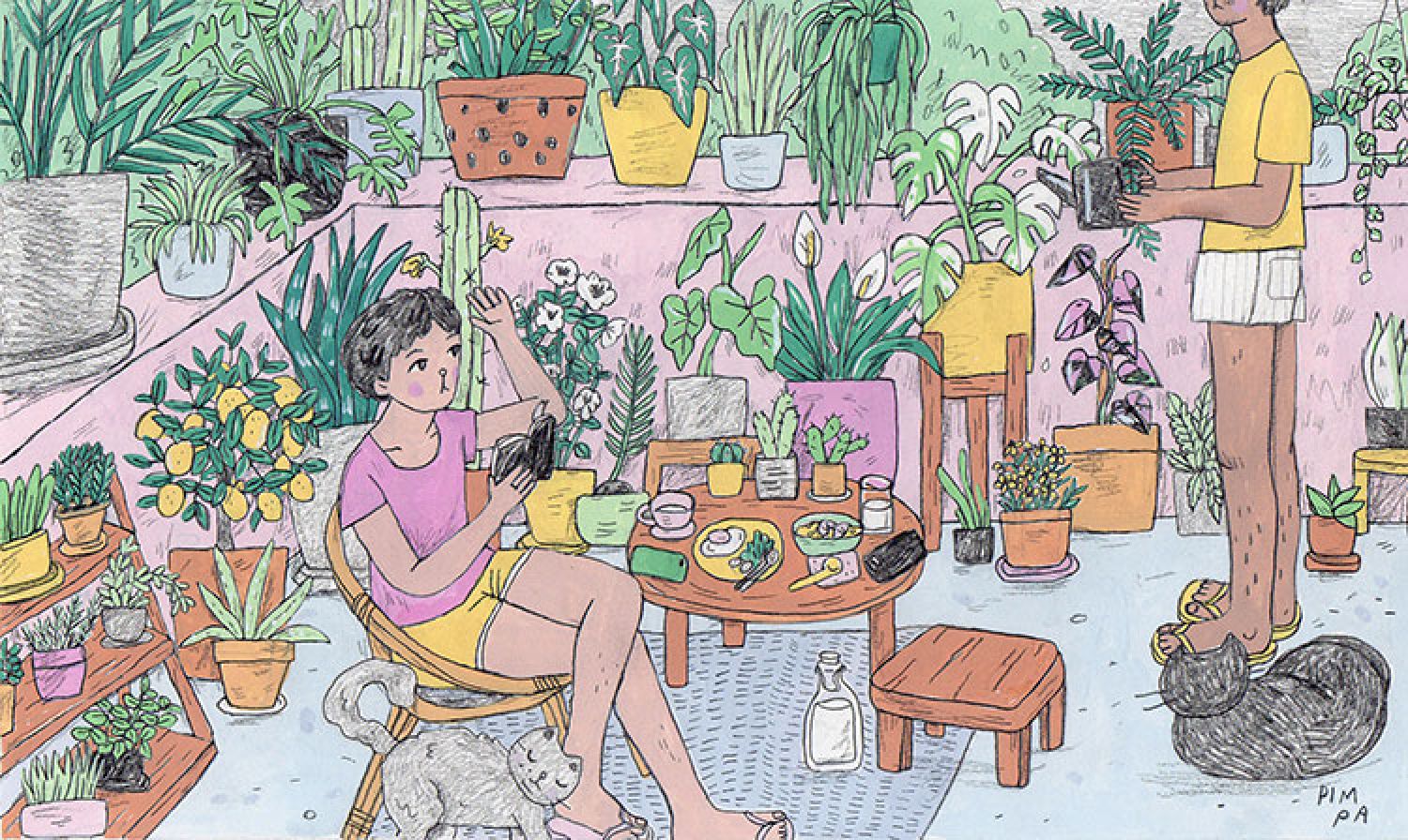 PIMPA (พิมพ์พาพ์)